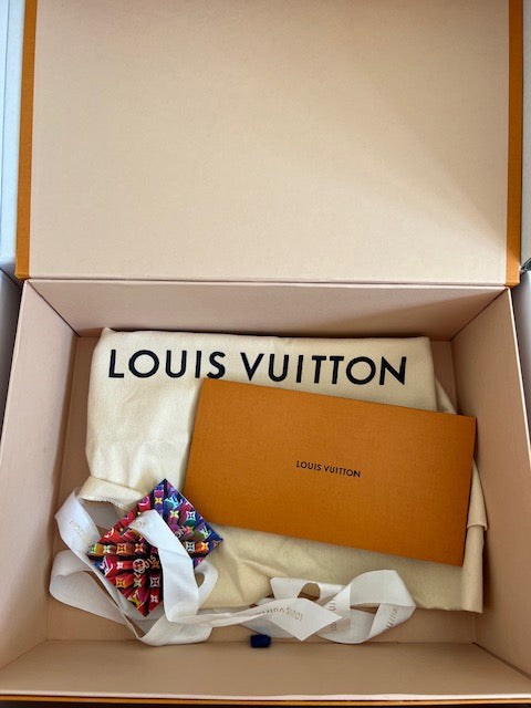 Louis Vuitton Clapton Backpack