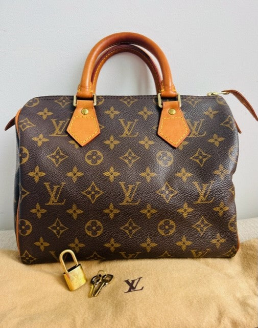 Vintage Louis Vuitton Speedy 25 – Follow That Bag